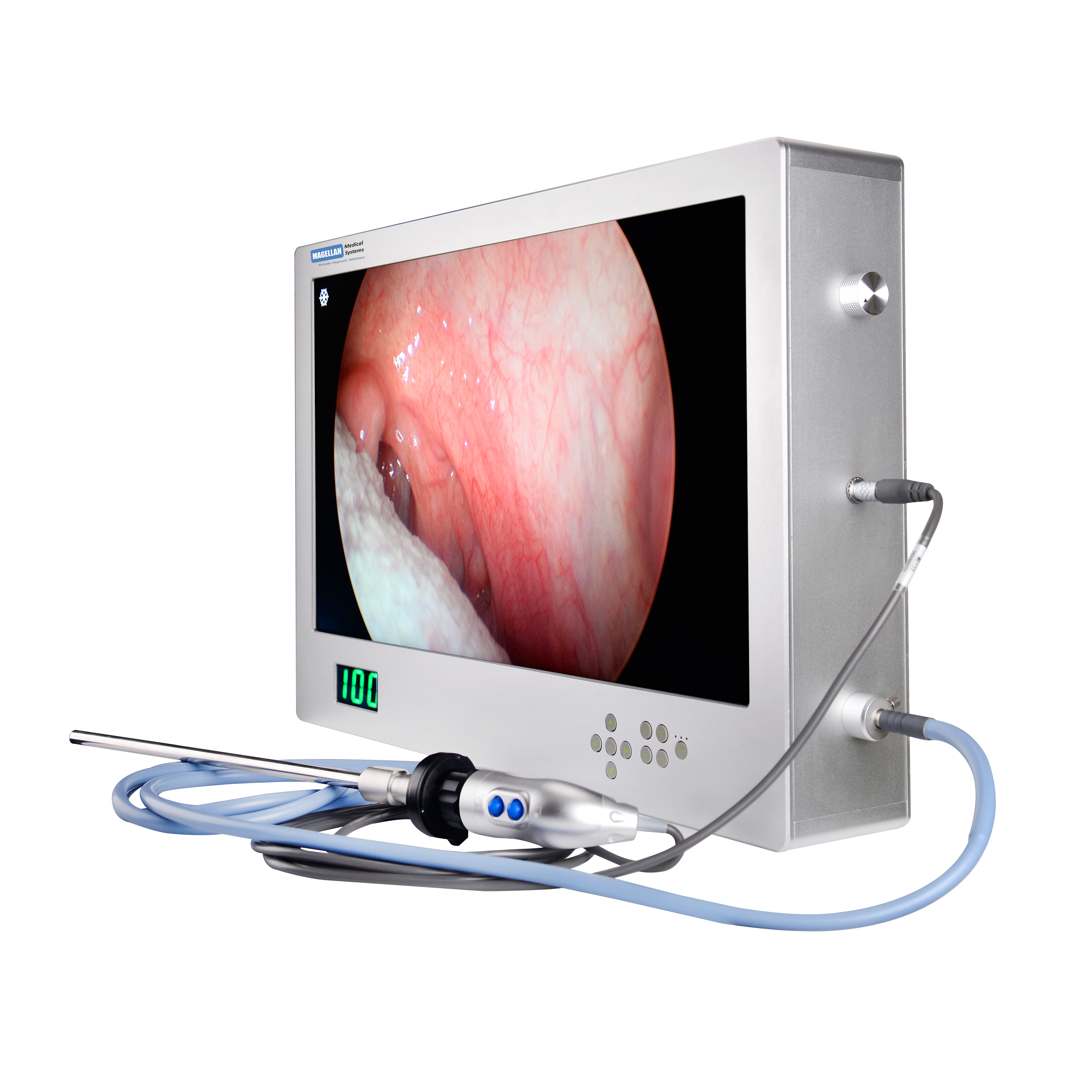 Veterinary Endoscopy, rigid endoscopy, laparoscopy