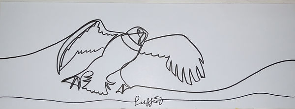 puffin.jpg