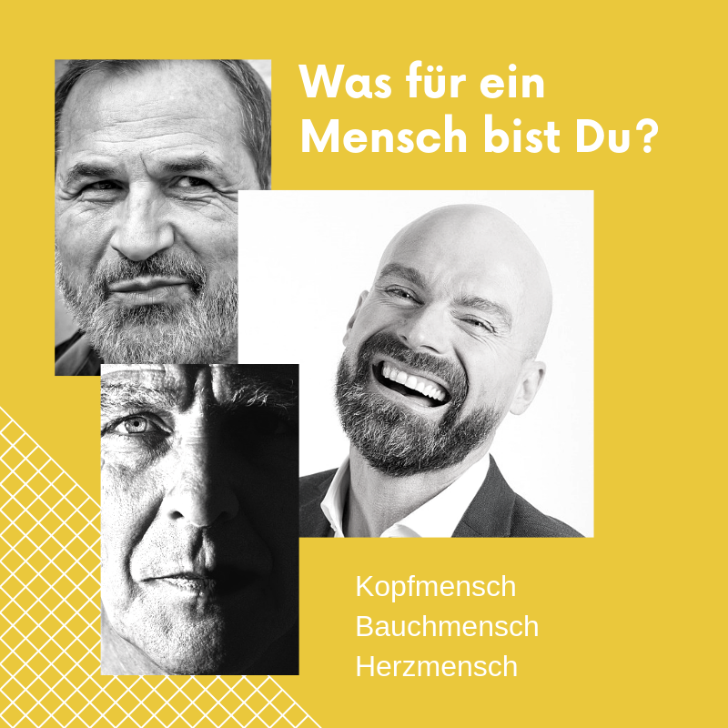Menschentyp bei Traden Kopfmensch Bauchmensch Herzmensch