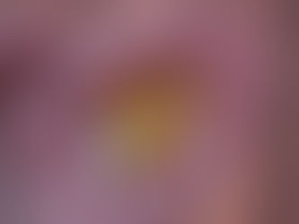 Supplement Recommendations from a Registered Dietitian