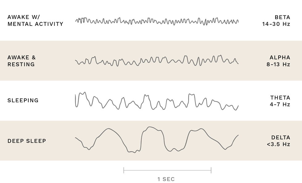 Brain Waves-01.png