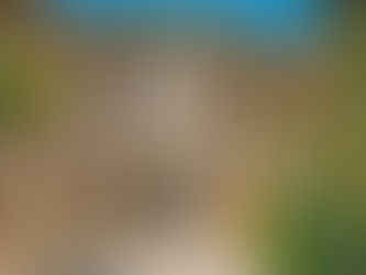 Italy’s Residency by Investment (RBI)