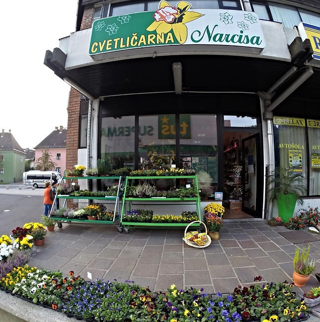 cvetličarna narcisa ravne na koroškem, cvetlicarna narcisa ravne na koroškem