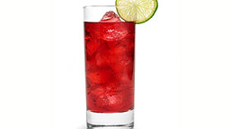 1BA4083F00000578-0-Healthy_Drinking_two_