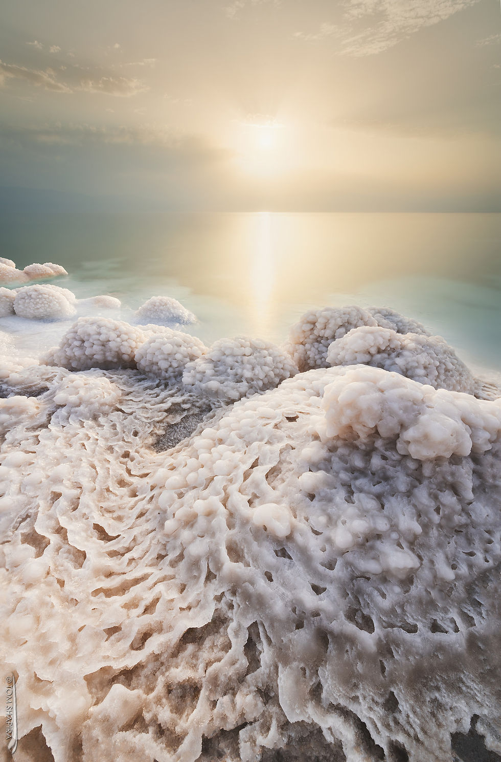 Lace-like salt patterns at the shoreline of the dead sea