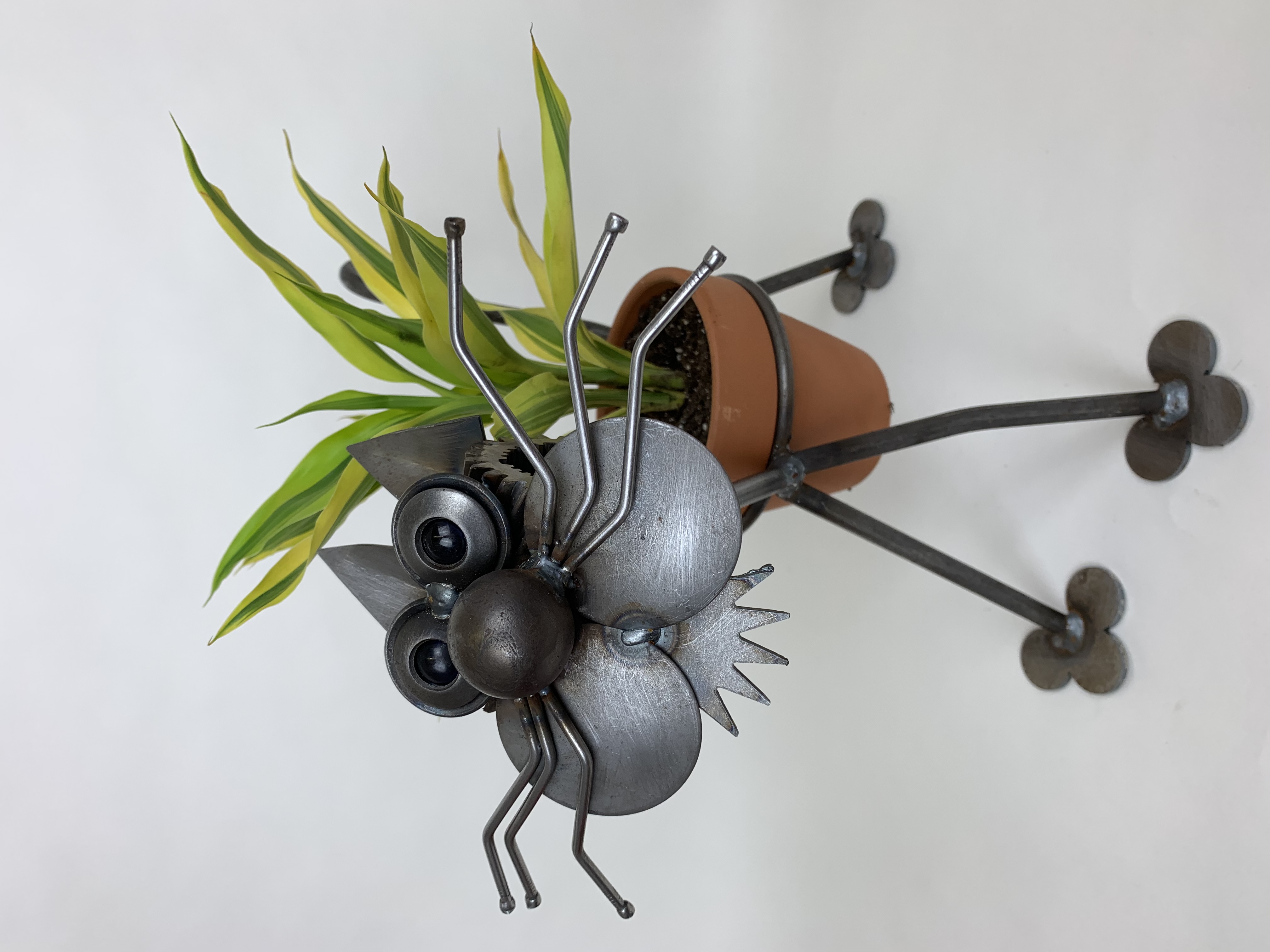 Flower Pot Cat