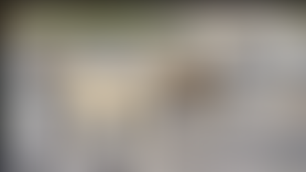 पुलिस लाइन में बढ़ा कुत्तों का आतंक...बच्चे को नोचते रहे