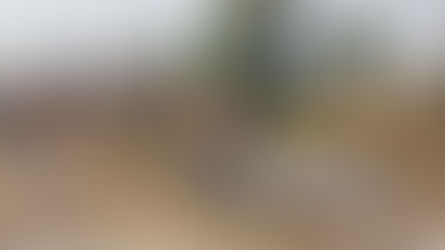 हत्या की वारदात को अंजाम देकर शव को बिटौड़े में रखकर जलाया...