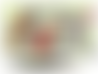 नंद्याल जिले में अवैध शराब के उत्पादन, बिक्री में शामिल 13 व्यक्ति हुए गिरफ्तार...