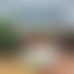 क्षेत्र की जानी मानी हॉस्पिटल बेतेल हॉस्पिटल में आयुष्मान कार्ड से निशुल्क इलाज कराएं....