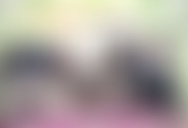 छत्तीसगढ़ उत्कल गांड़ा समाज के तत्वावधान में हम प्रतिवर्ष हमारे महापर्व नुआखाई के उपलक्ष्य में शोभायात्रा का आयोजन करते हैं....