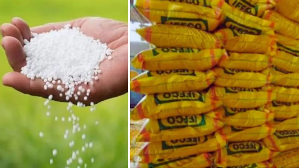 गरियाबंद के इस गोदाम में गायब मिले लाखों के कट्टे, किसानों में आक्रोश...