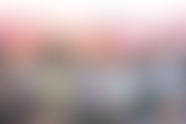 पूर्व ग्रामीण विधायक सत्यनारायण शर्मा एवं पंकज शर्मा के नेतृत्व में प्रदेश प्रभारी का जोरदार स्वागत...