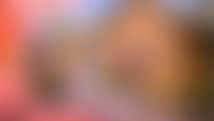 श्रीराम के जीवन चरित्र एवं वनगमन पथ की झांकी बनी आकर्षण का केन्द्र...