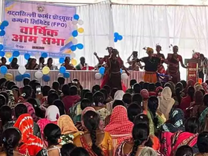 रायपुर: गट्टासिल्ली एफपीसी की पांच साल की सफल यात्रा; महिला नेतृत्व और सामूहिक ताकत से ग्रामीण अर्थव्यवस्था को मिल रही नई उड़ान.....