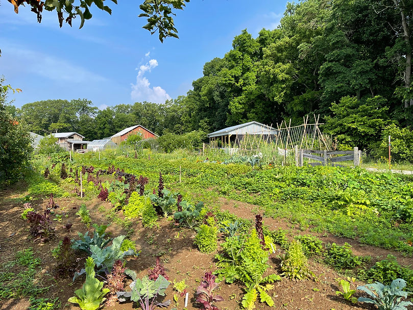 Farm Bright.jpg