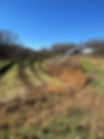 Grain Terraces_FULL.jpg