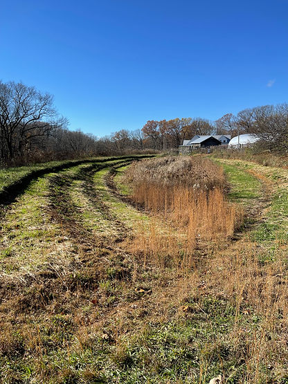 Grain Terraces_FULL.jpg