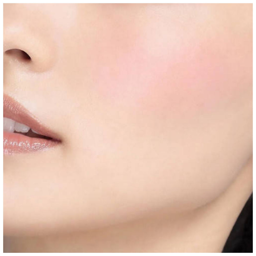 Матові рум'яна 008M Timeless Peta ADDICTION TOKYO The Blush, Японія