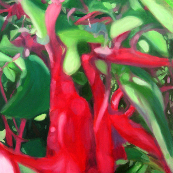 王綺穗 紅鈴花III Fuscia III 油彩、畫布 100x100cm 2004