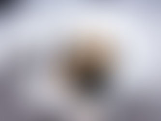 STRICTLY STARS TO BRING LATIN DANCE SPECTACULAR TO PETERBOROUGH