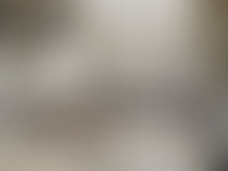 FESTIVAL OF ARCHAEOLOGY AT OAKHAM CASTLE