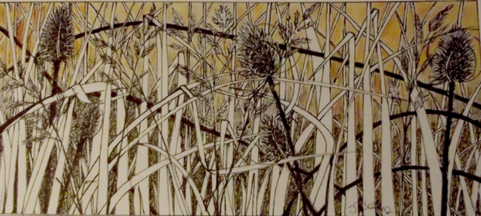 Tangled teasel ink and watercolour SOLD