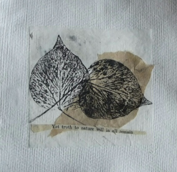 From natures book Vl - varied edition mo
