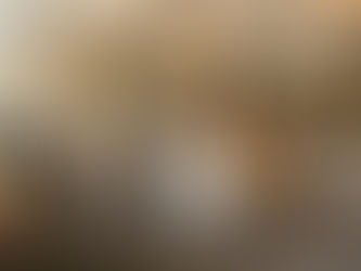 FOOD TO BE SERVED ALL DAY @ THE FAYRE SPOT