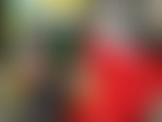 FESTIVAL BRINGS A TASTE OF PORTUGAL TO CITY CENTRE