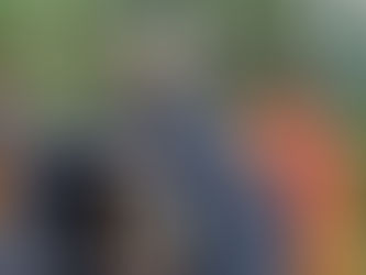 ROMANS READY TO INVADE FLAG FEN