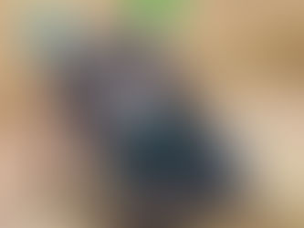 Social Media Overload