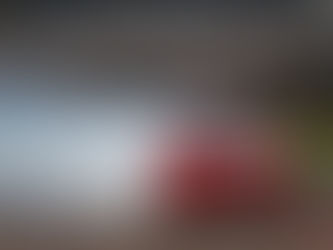 JAPFEST ROCK! BRIMMING WITH ACTION THIS MONTH