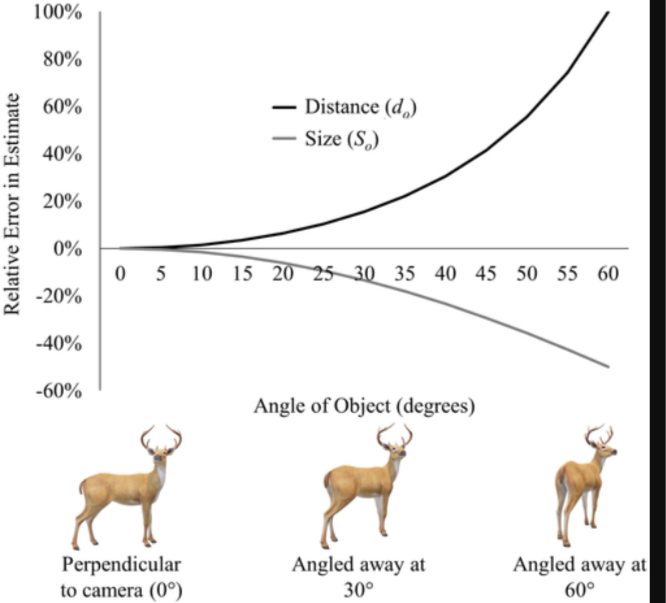 Gauging the range - how to figure out distance when hunting