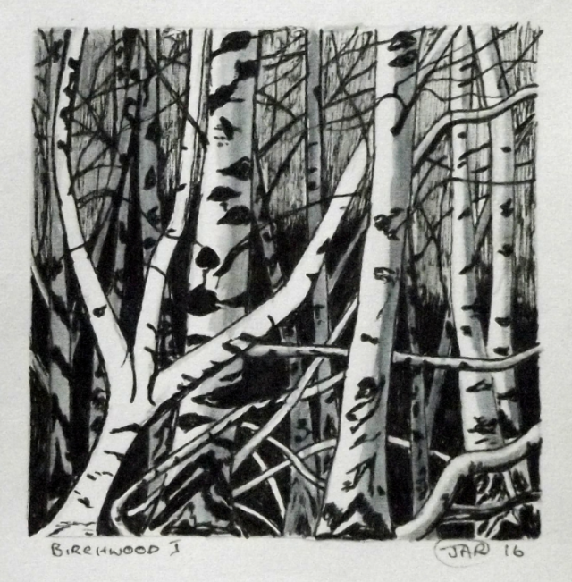 Birchwood 1 ink and waterclolour