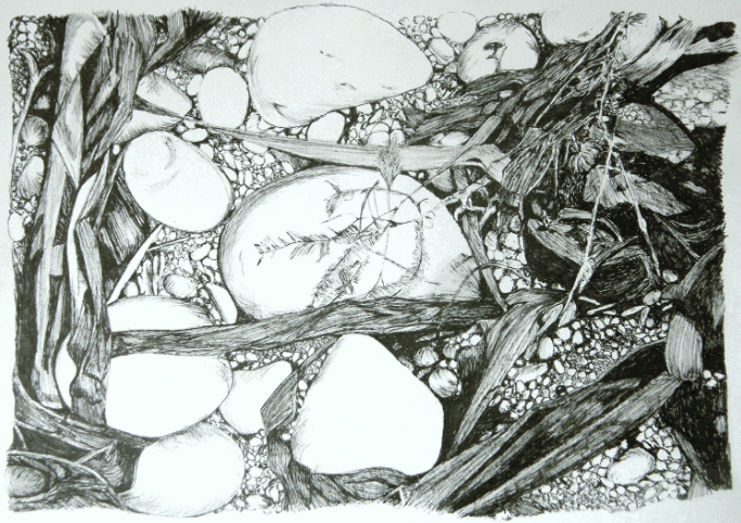 Dorset Pebbles, ink drawing SOLD