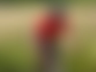 PETERBOROUGH CYCLING CLUB PUT ESP ADVENTURER THROUGH HIS PACES