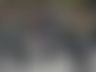 WHITTLESEY FESTIVAL FUN!