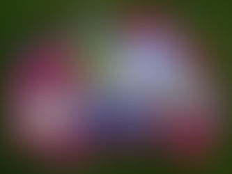 CITY MARKS CENTENARY OF THE DEATH OF THE LONELY ANZAC