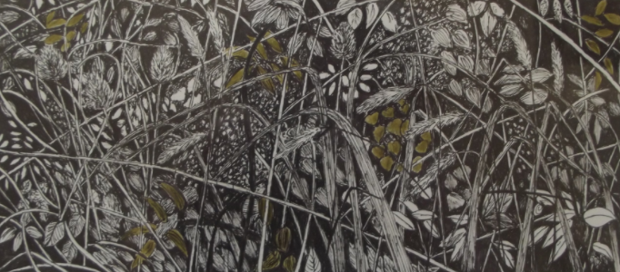 snail in the grass ink and watercolour