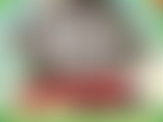 SUMMER SAUSAGE & CIDER MUSIC FEST IS COMING!