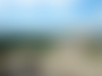 SPECTACULAR SIGHTS AND SOUNDS AT PETERBOROUGH CATHEDRAL