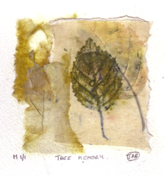 Tree memory - Monoprint & collage