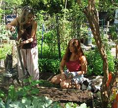 campos community garden contact