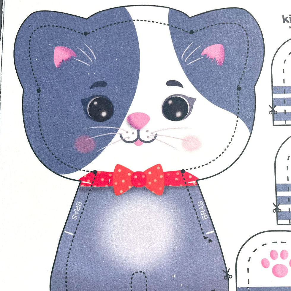 Miniature : Léo le chat-pointillés