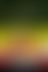 THE ART OF RACING IN THE RAIN!