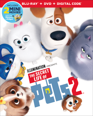 Secret Life of Pets 2 - On Digital August 13 and 4K, Blu-ray and DVD August 27 From Universal Home E