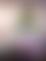 Minion Shenanigans and Bounty Paper Towels to the Rescue!