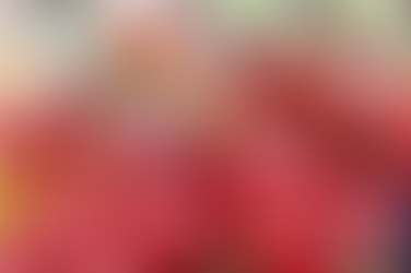 Tomatomania 2019 Returns to Descanso Gardens 3/29-31