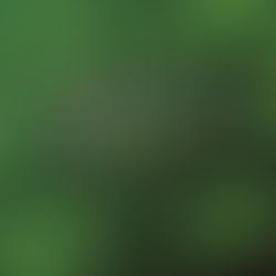 Follow the End of the Rainbow to the Queen Mary’s St. Patricks Day Eve Pub Stroll March 16!